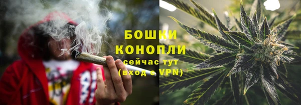 шишки Михайлов