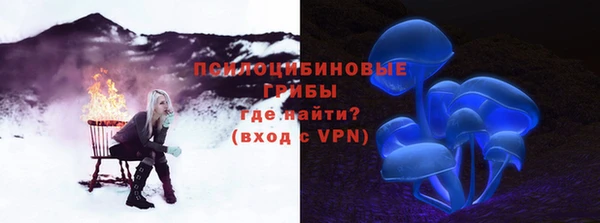хмурый Мегион