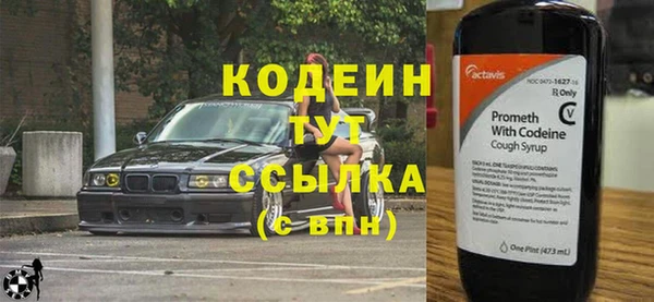 шишки Михайлов