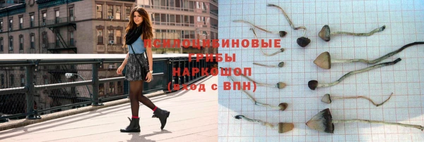 шишки Михайлов