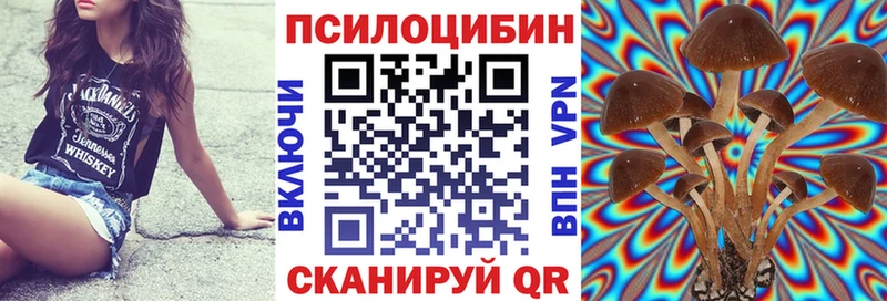 Галлюциногенные грибы MAGIC MUSHROOMS  Добрянка 