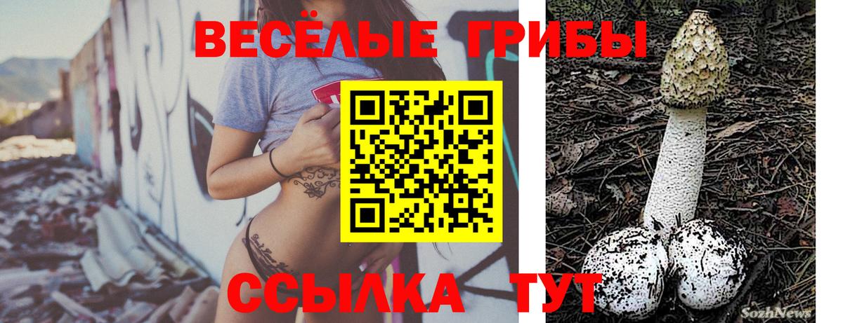 Добрянка  Псилоцибиновые грибы Psilocybe  купить наркоту  Вход с VPN  Галлюциногенные грибы мицелий 