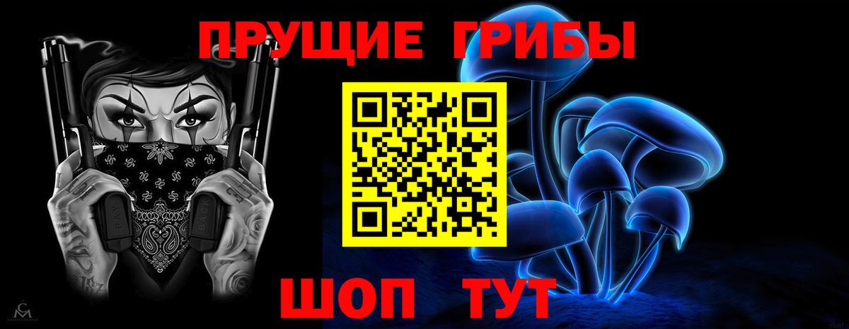 Псилоцибиновые грибы Psilocybe Добрянка